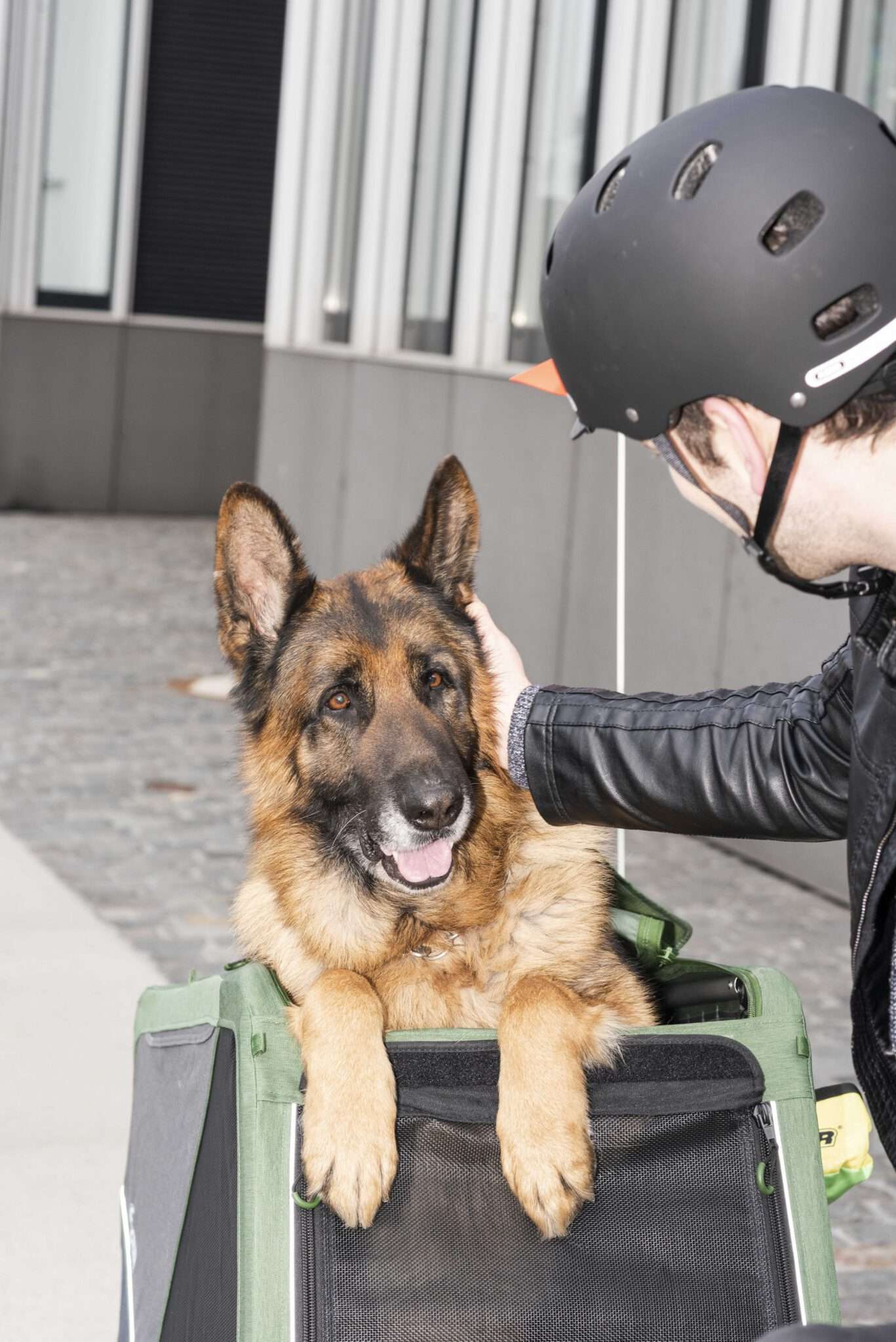 Croozer_Dog_XXL_Bike_Action06_2019_web Croozer_Dog_XXL_Bike_Action06_2019_web